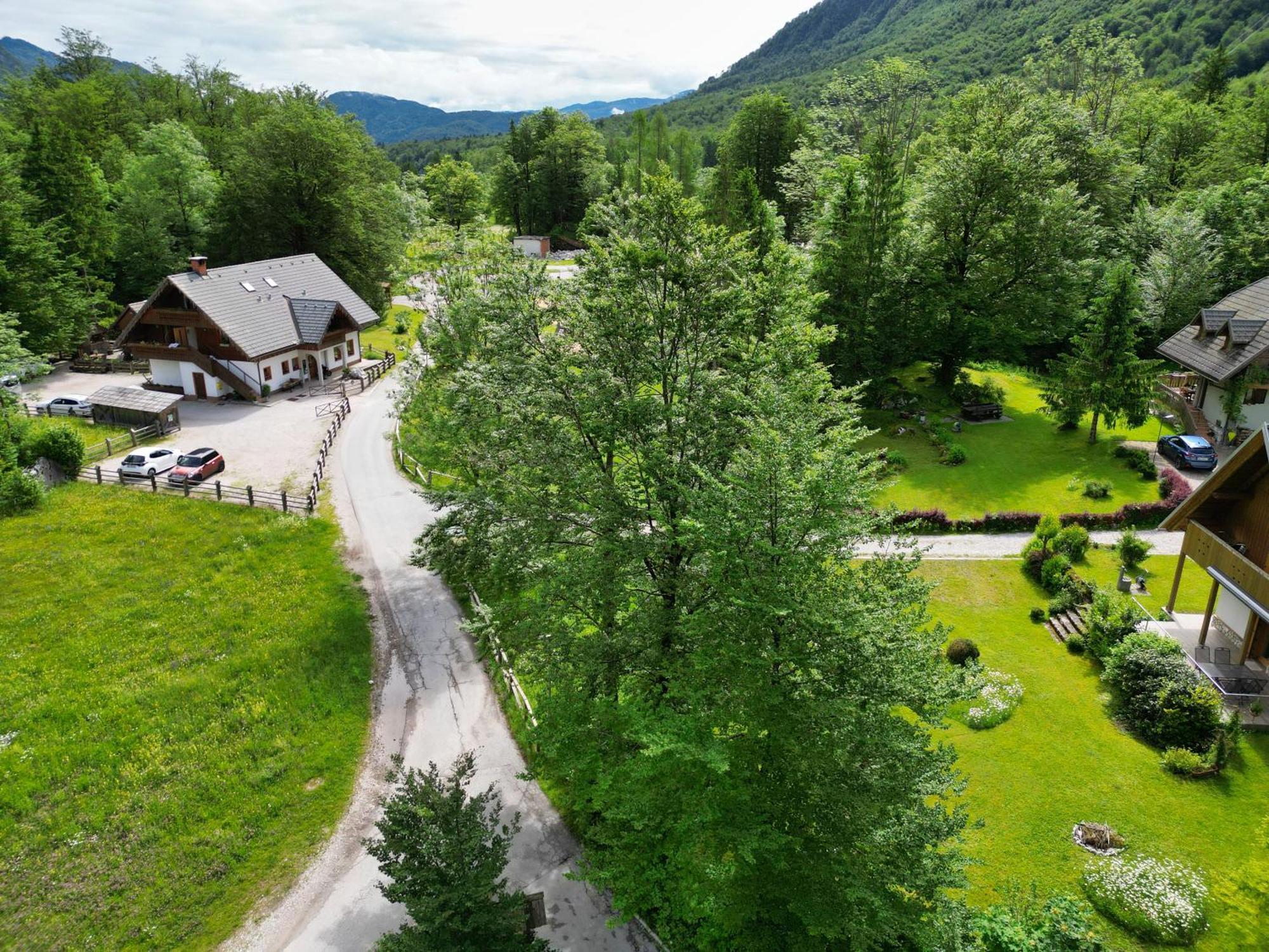 Sobe In Apartmaji Pri Ukcu Bohinj ภายนอก รูปภาพ
